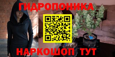 бошки Ярославль
