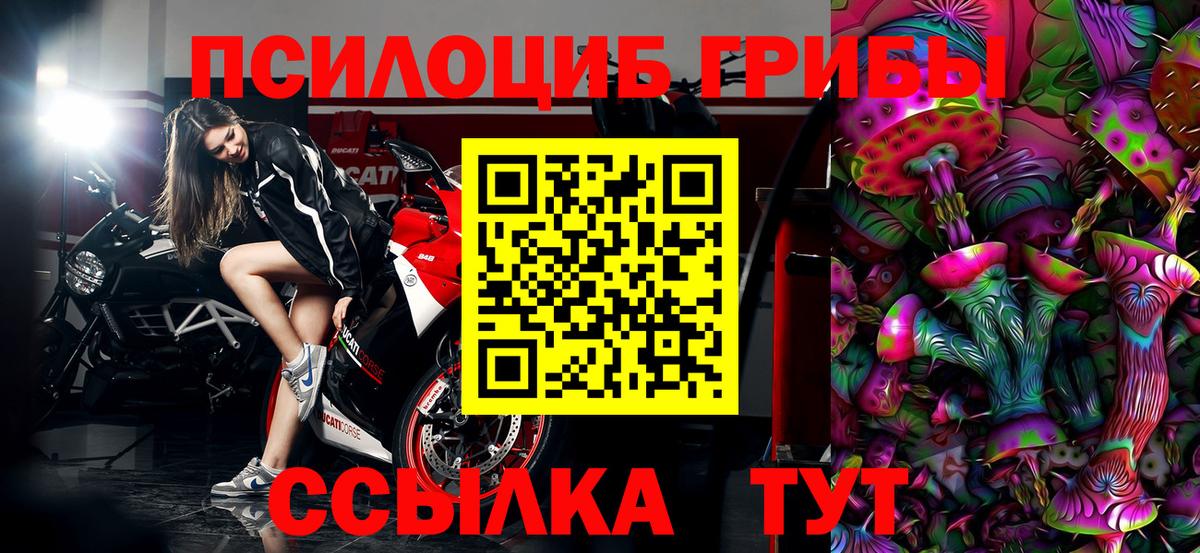 Галлюциногенные грибы прущие грибы  Вход с VPN  Железноводск 