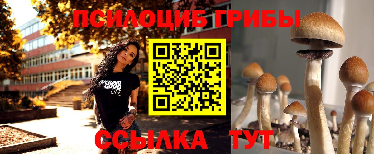 Галлюциногенные грибы мицелий Железноводск