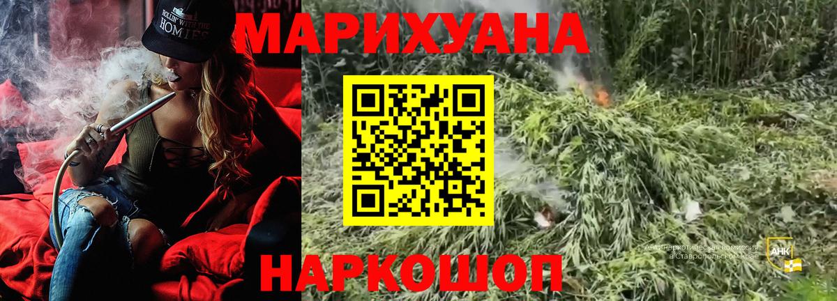 Конопля гибрид  Вход с VPN  Железноводск  Бошки Шишки Amnesia  Марихуана план 
